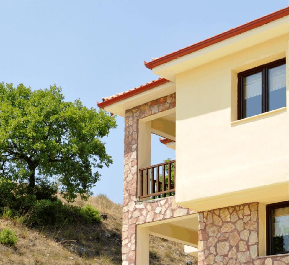 Kaimak Mountain Lodge Παναγίτσα Εξωτερικό φωτογραφία
